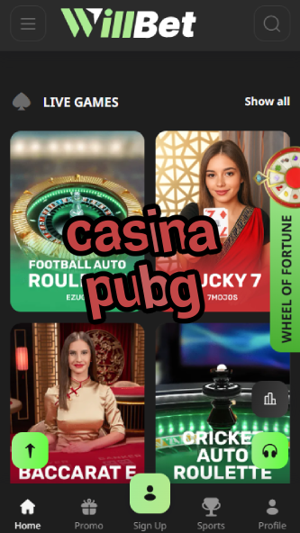 Casina PUBG - Battle Royale Casino Experience-www.bdqngd.com
